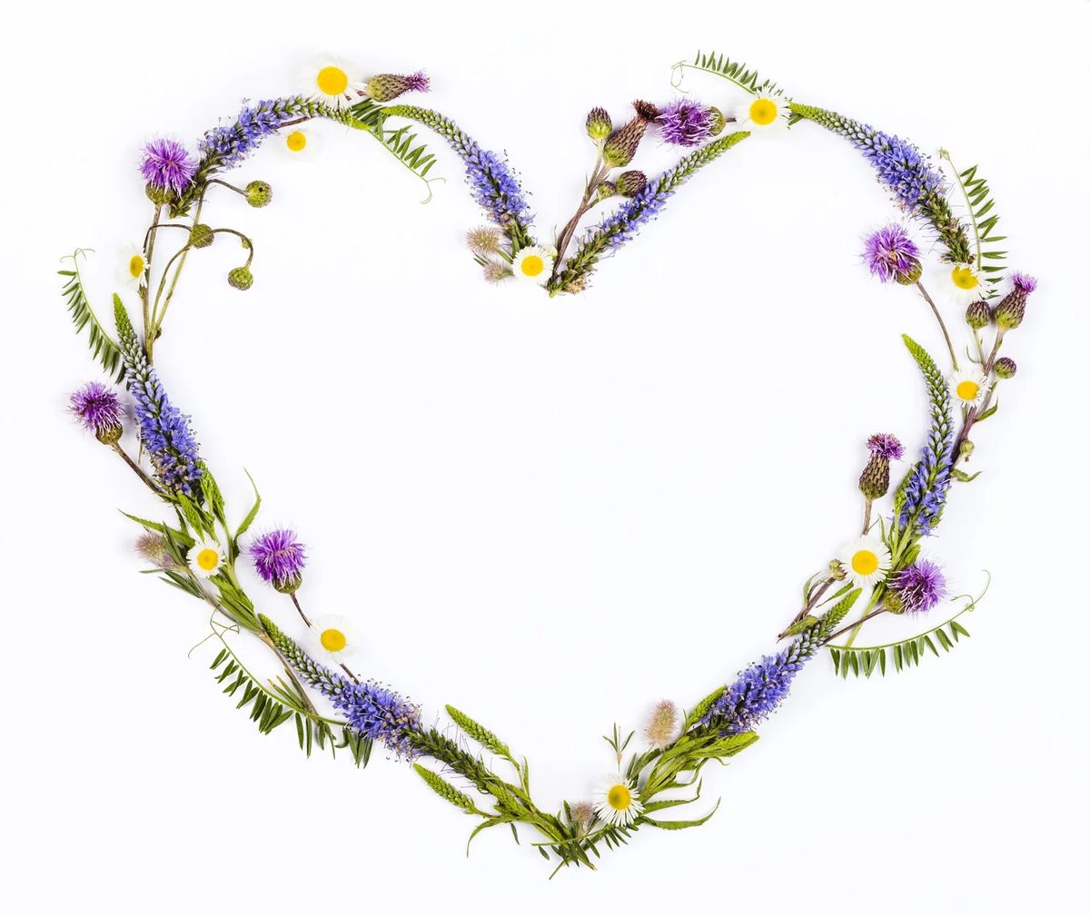 A heart made of wildflowers